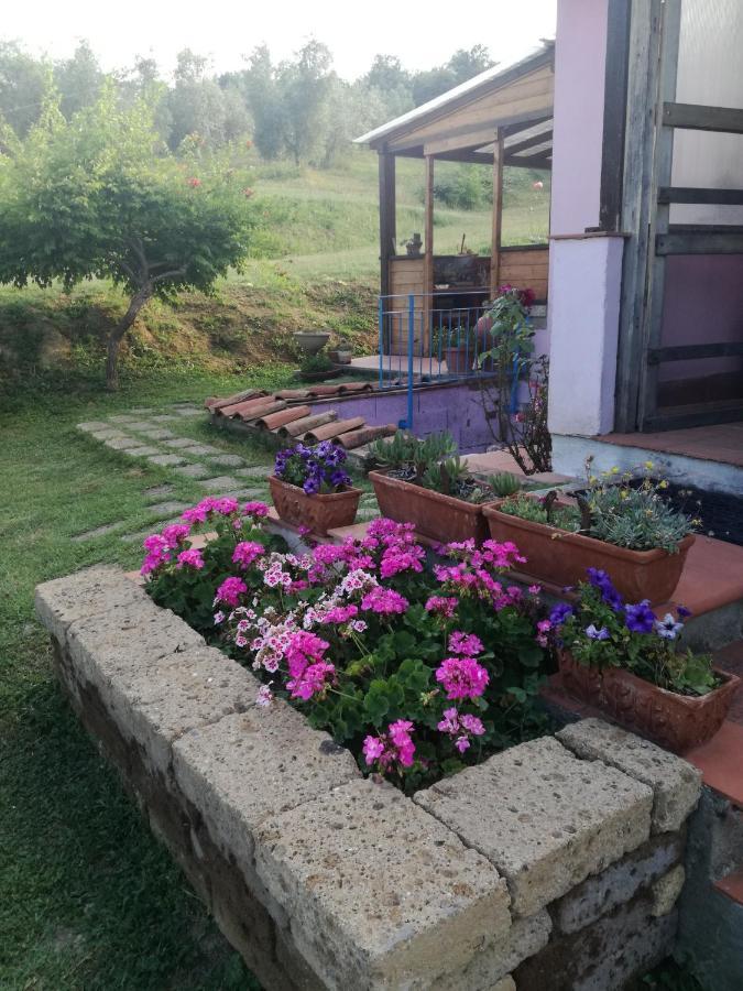 Agriturismo Campolungo Sant'Ermo Eksteriør bilde