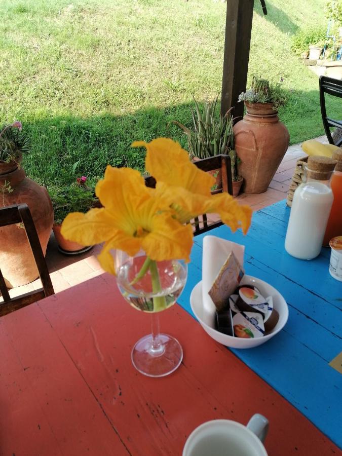 Agriturismo Campolungo Sant'Ermo Eksteriør bilde