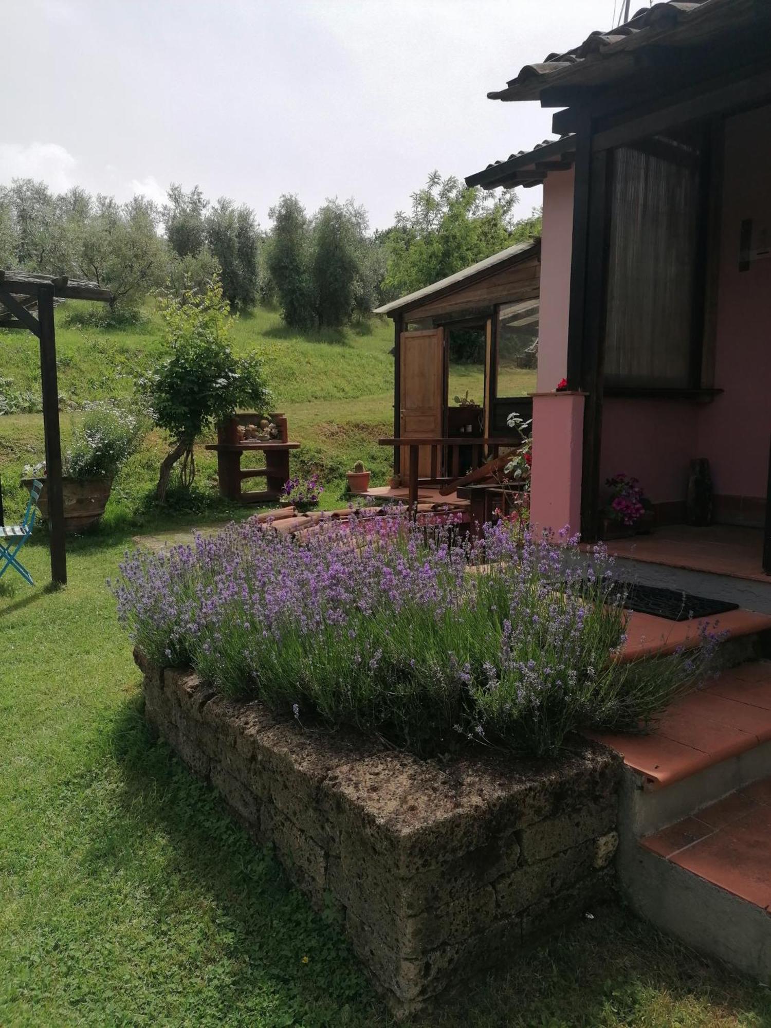 Agriturismo Campolungo Sant'Ermo Eksteriør bilde