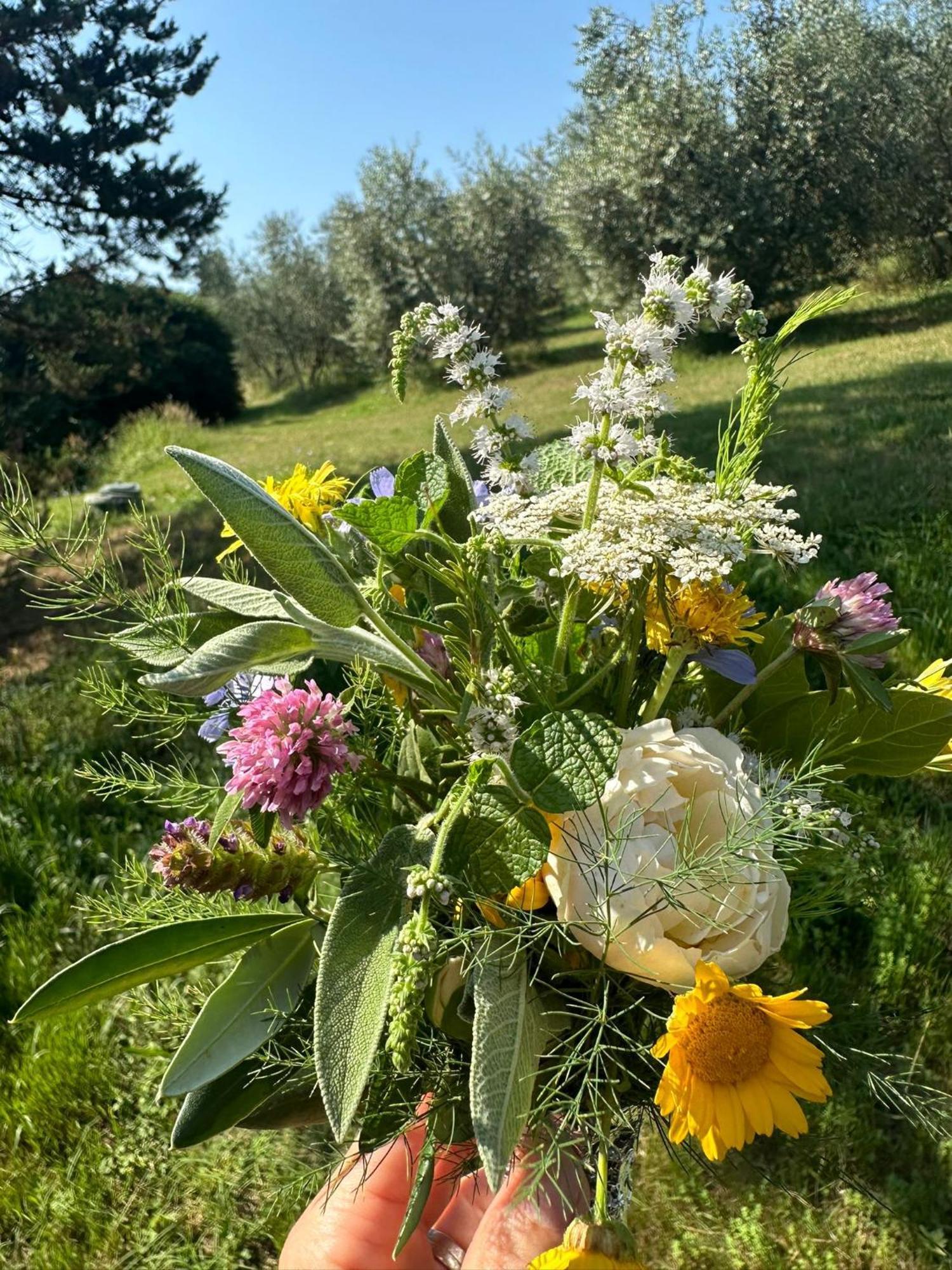Agriturismo Campolungo Sant'Ermo Eksteriør bilde